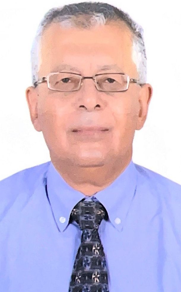 Yehia Zakaria Gad, Prof. em. Dr.